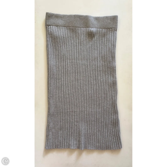 Skirt Midi By Time And Tru In Grey, Size: L
