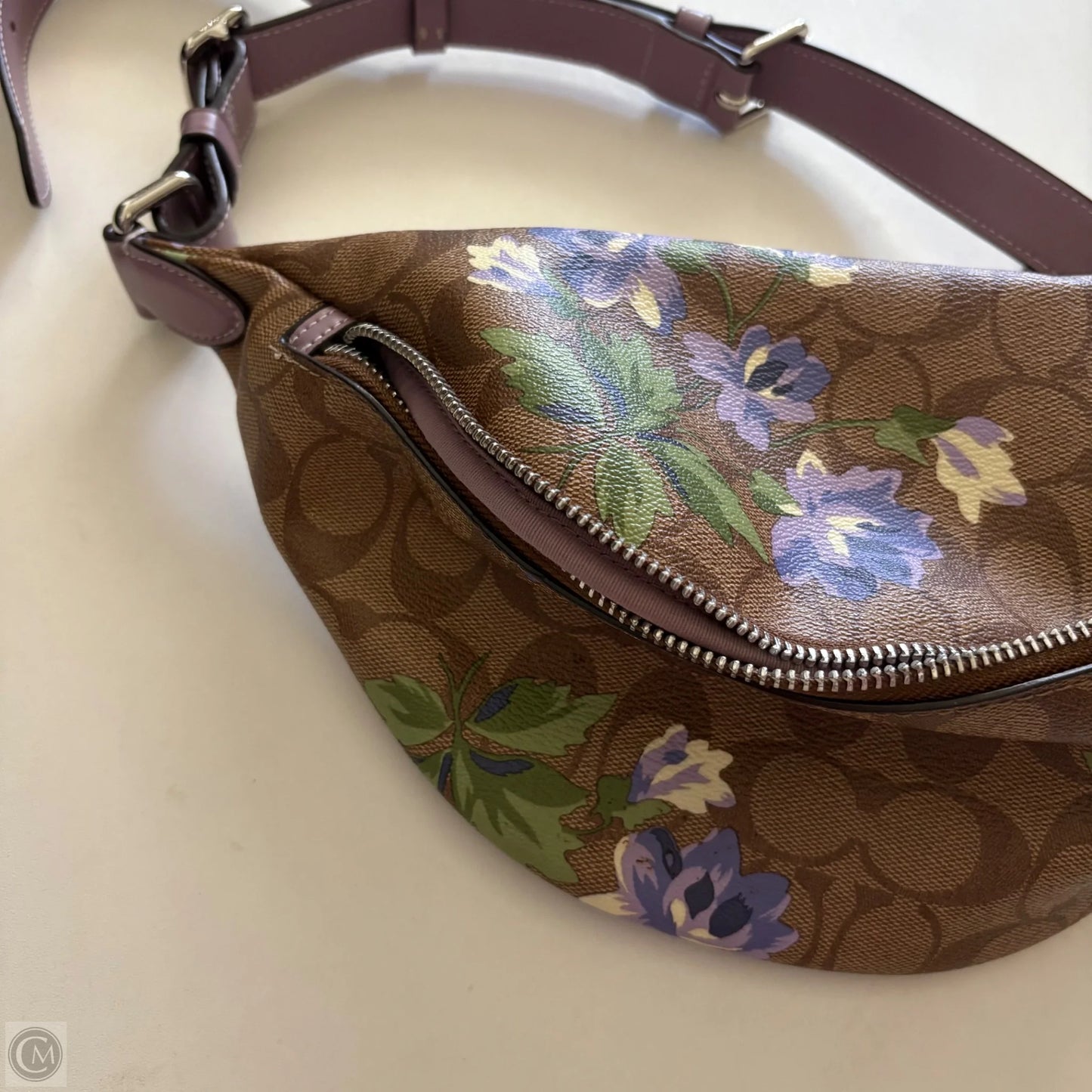 Belt Bag Designer By Coach, Size: Medium