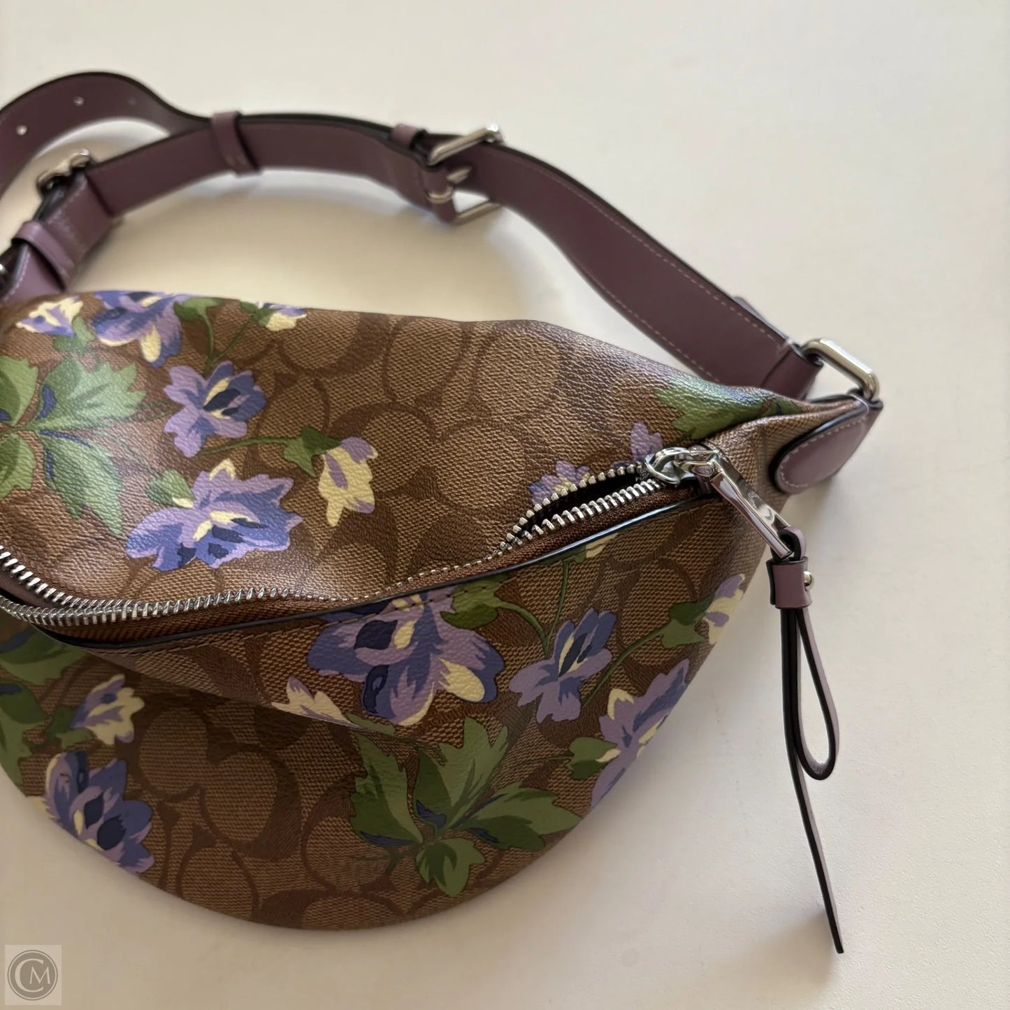 Belt Bag Designer By Coach, Size: Medium