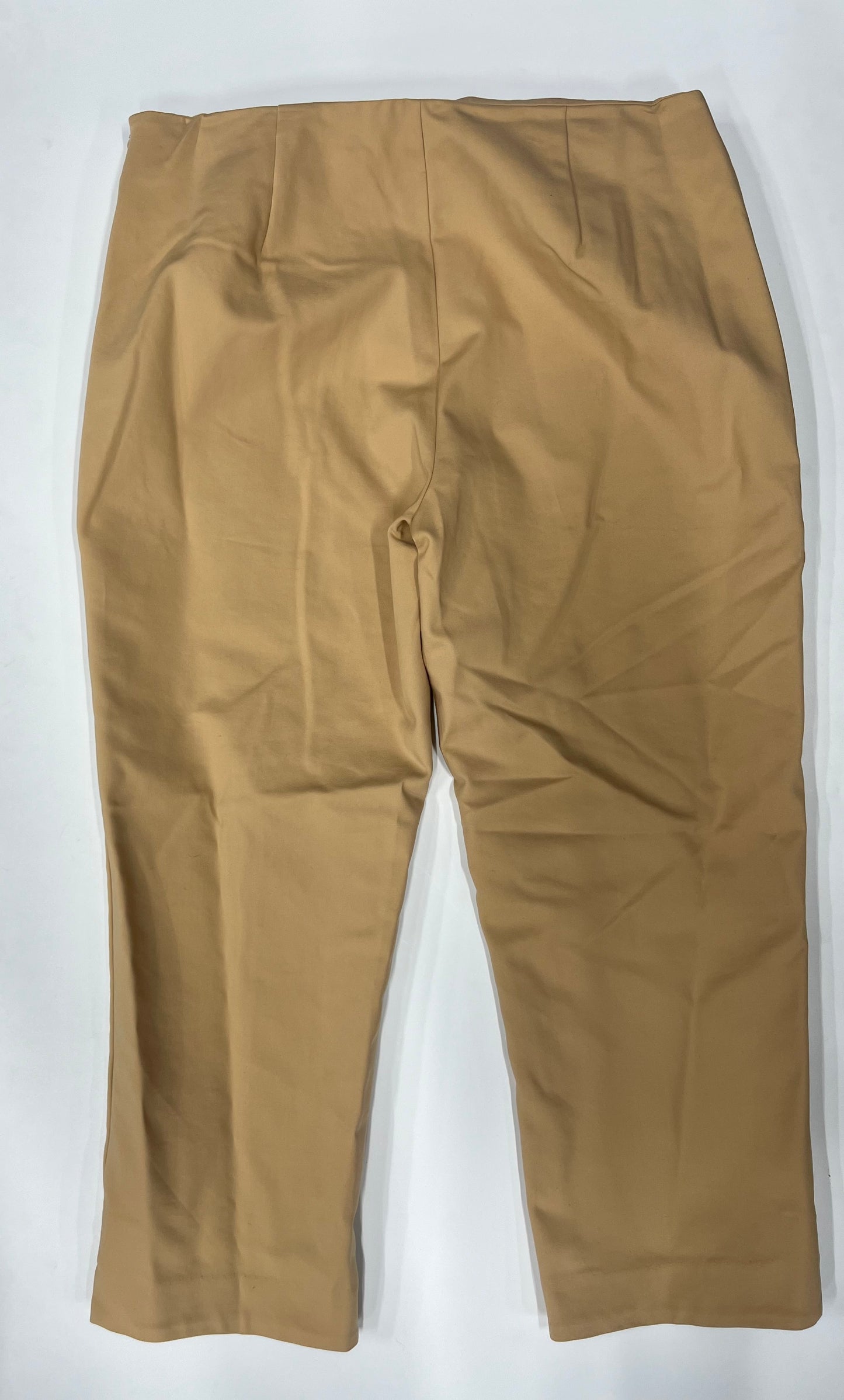 Pants Ankle By Debbie Shuchat  Size: 12